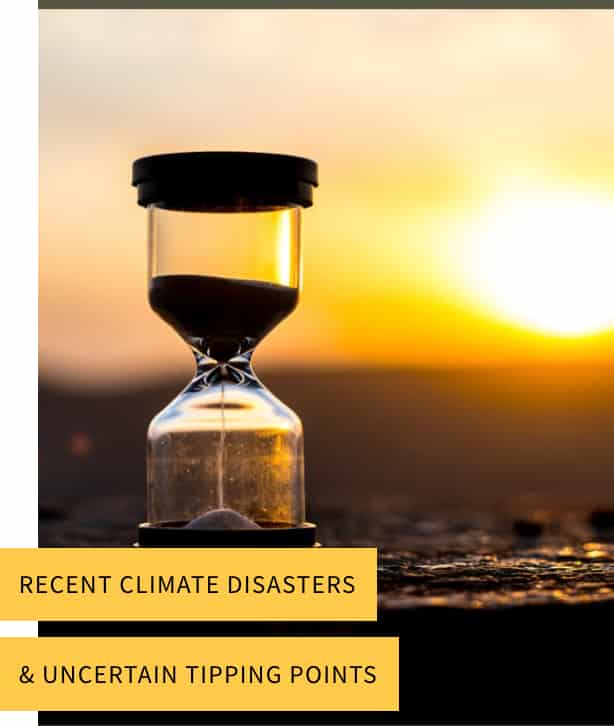 screenshot 2026 02 23 at 2.48.32 pm