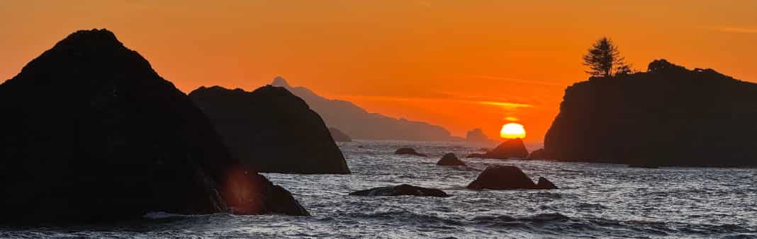 screenshot 2026 02 25 at 4.18.51 pm