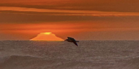 screenshot 2026 04 04 at 12.51.45 pm